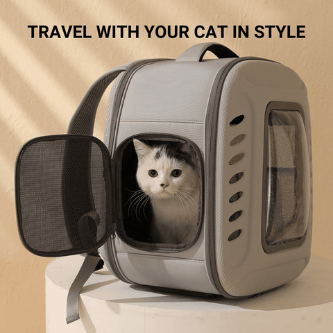 Foldable Cat Carrier Backpack