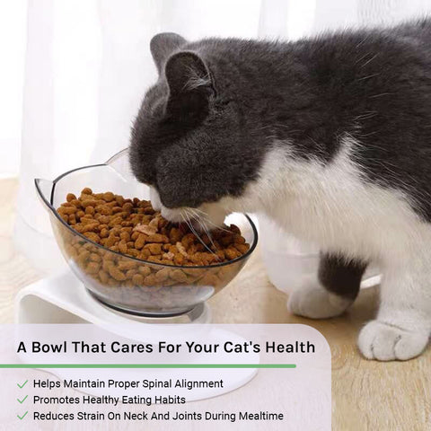 Orthopedic Cat Bowl