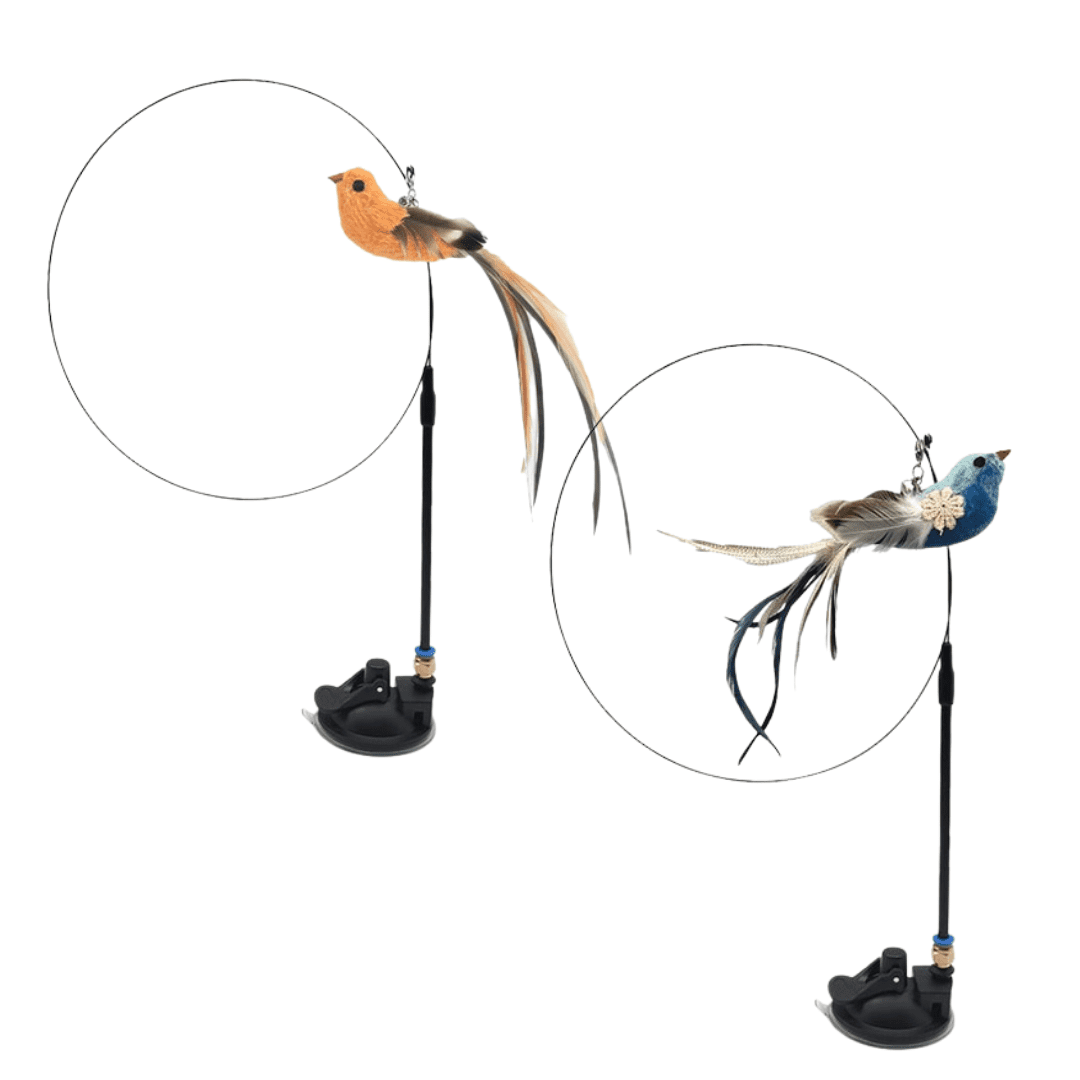 Cat toy bird hot sale on a wire